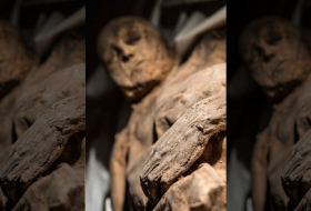 Smallpox found in Lithuanian mummy could rewrite virus` history 